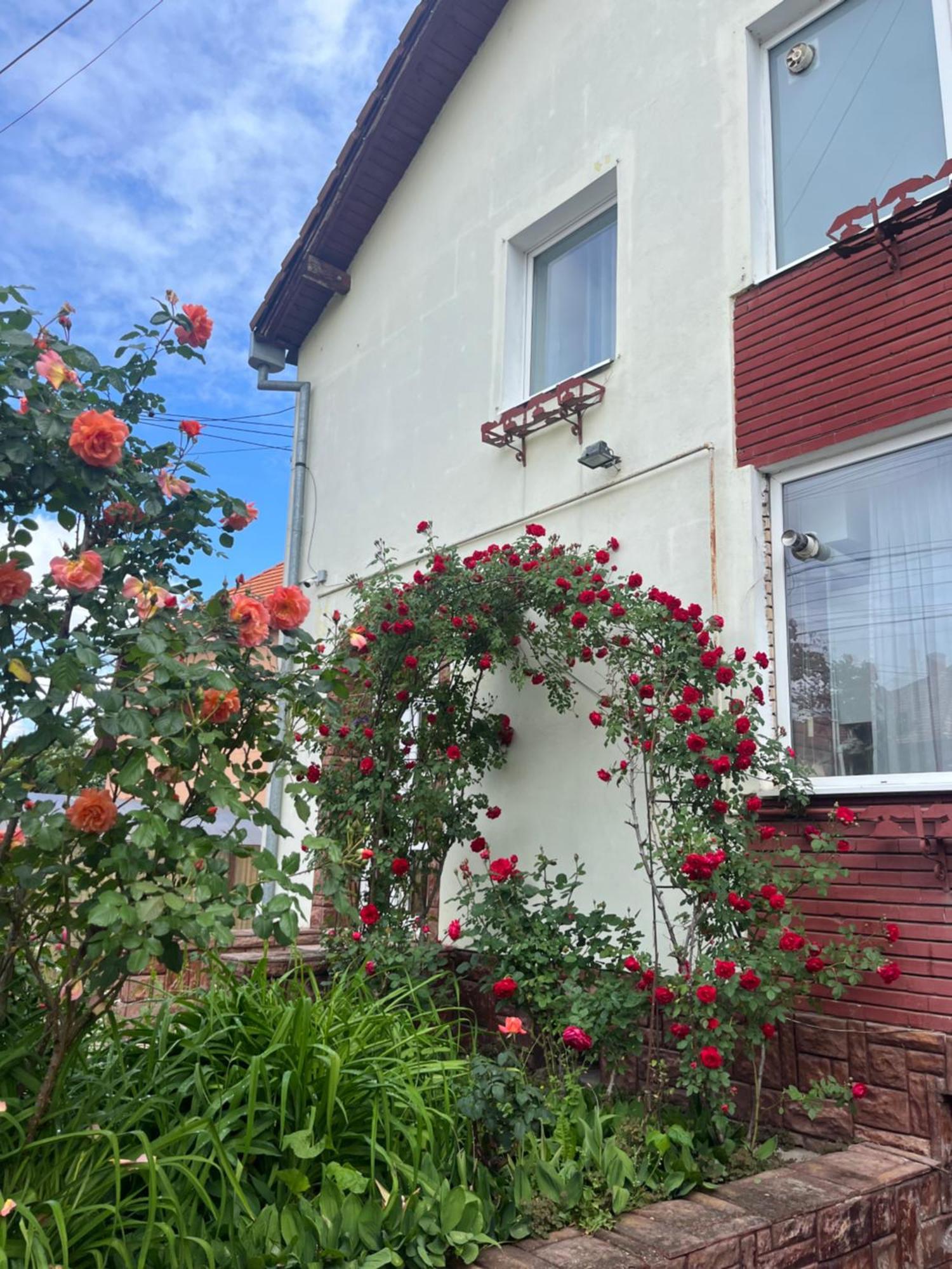 מלון סיביו Casa Conti מראה חיצוני תמונה
